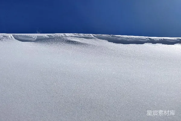 高清摄影 雪地上的宁静