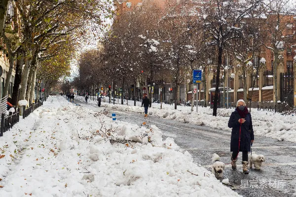 高清摄影 雪后城市街道上的散步时光
