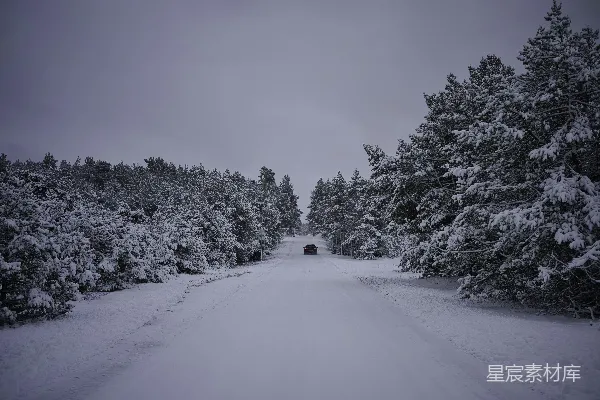 高清摄影 冬日雪景中的寂静之路