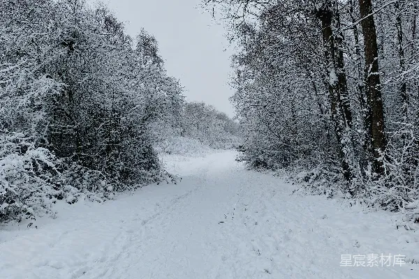 高清摄影 雪后的森林小径