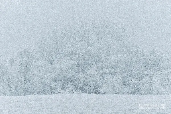 高清摄影 冬日雾中雪地