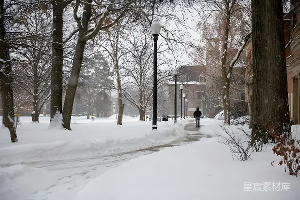 高清摄影 雪后的校园漫步