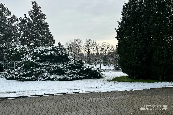 高清摄影 冬日雪景中的公园