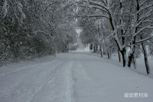 高清摄影 冬日雪景中的小径