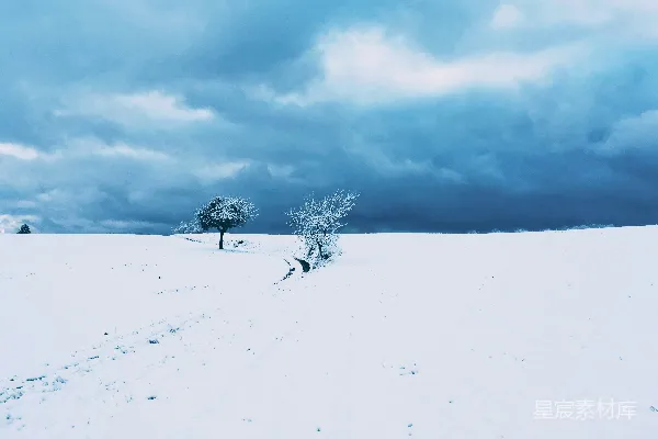 高清摄影 冬日雪景中的孤独树