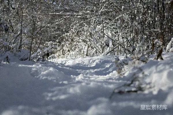 高清摄影 雪地中的小径