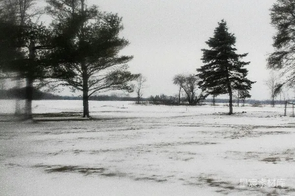 高清摄影 冬日雪景中的宁静森林