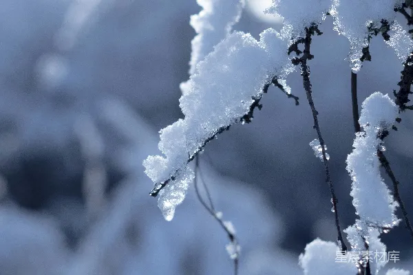 高清摄影 冬日雪景