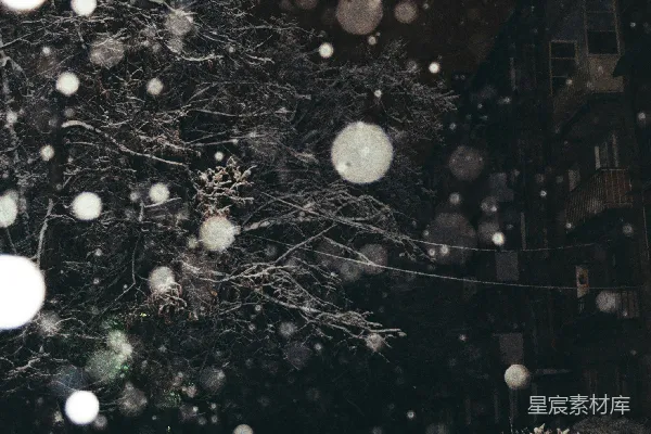 高清摄影 冬夜的雪景