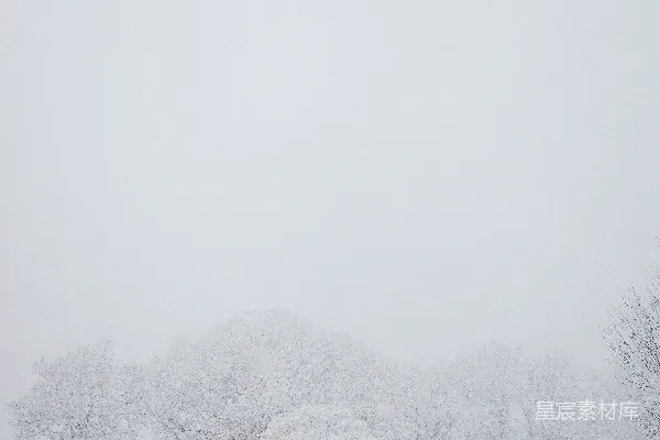 高清摄影 冬日雪景
