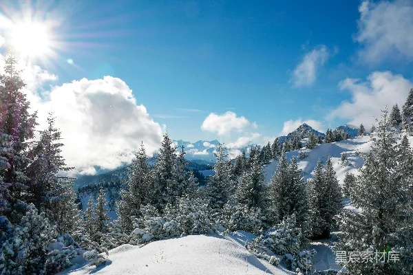 高清摄影 冬日山林雪景