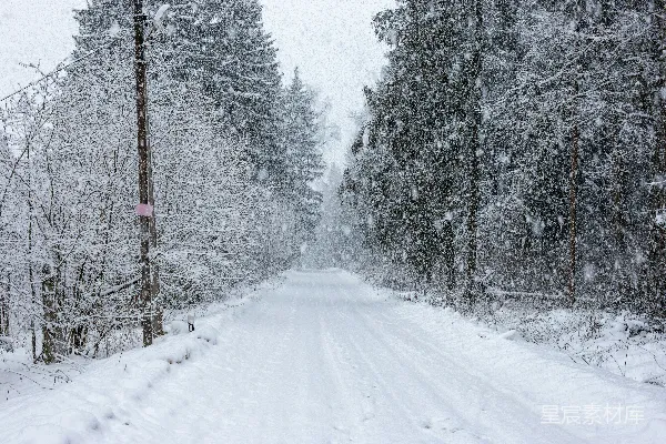 高清摄影 雪中森林小径
