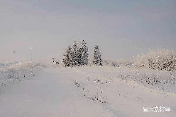 高清摄影 冬日雪景中的宁静小径