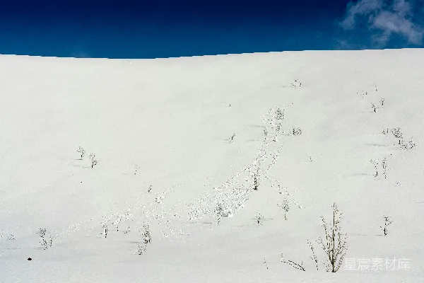 高清摄影 雪地中的足迹