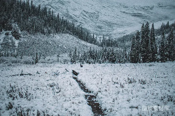 高清摄影 雪覆盖的山间小溪