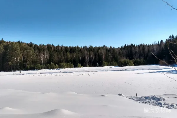 高清摄影 冬日森林雪景