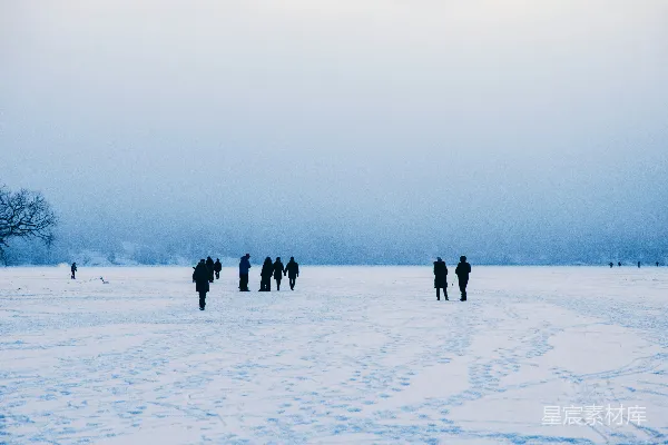 高清摄影 冬日雪地散步