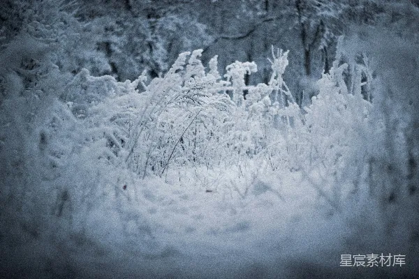 高清摄影 雪覆盖的冬季田野