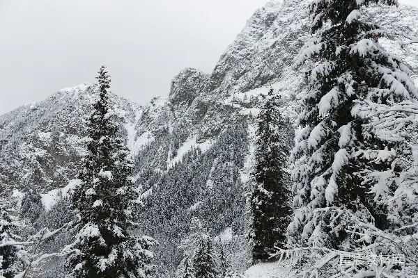 高清摄影 雪覆群山