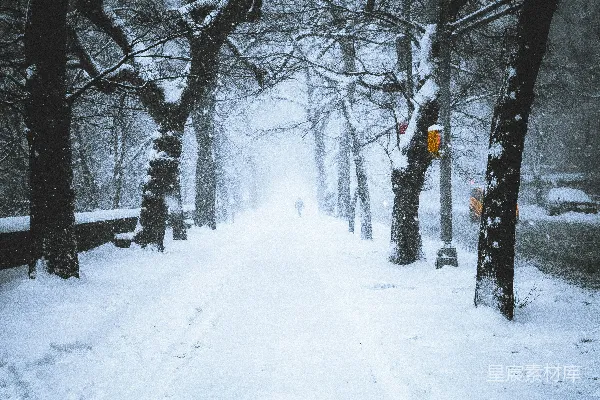高清摄影 雪中的城市街道