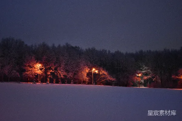 高清摄影 冬夜雪景下的路灯