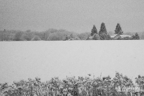 高清摄影 雪中的乡村田野