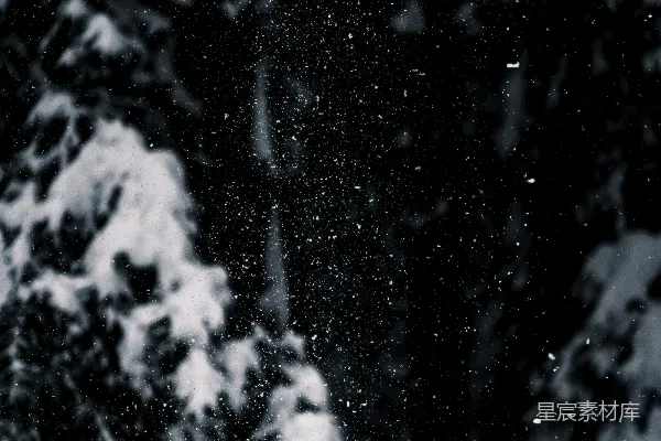 高清摄影 雪夜森林中的神秘身影