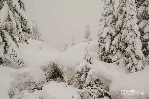 高清摄影 冬日雪景
