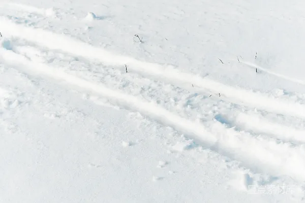 高清摄影 雪地上的足迹