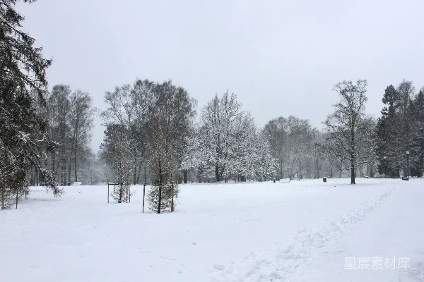 高清摄影 雪景中的宁静公园