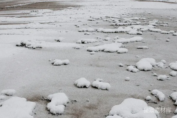 高清摄影 雪中的海滩：宁静与孤独