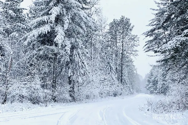 高清摄影 冬日雪景中的蜿蜒小路