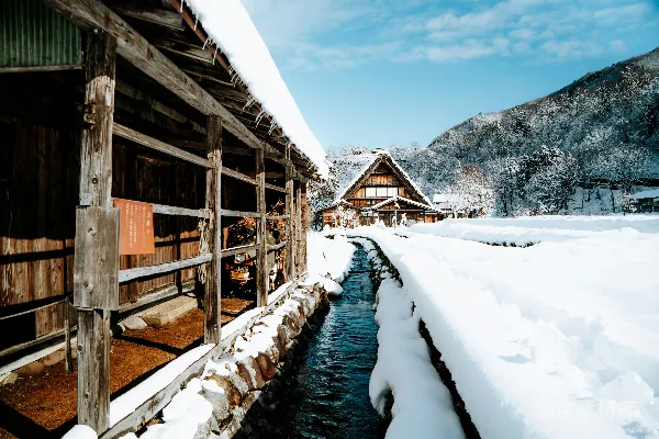 高清摄影 冬日雪乡的宁静之美