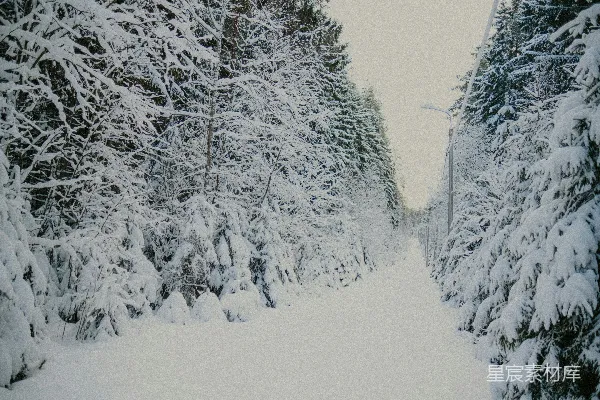高清摄影 冬日雪景中的林间小路