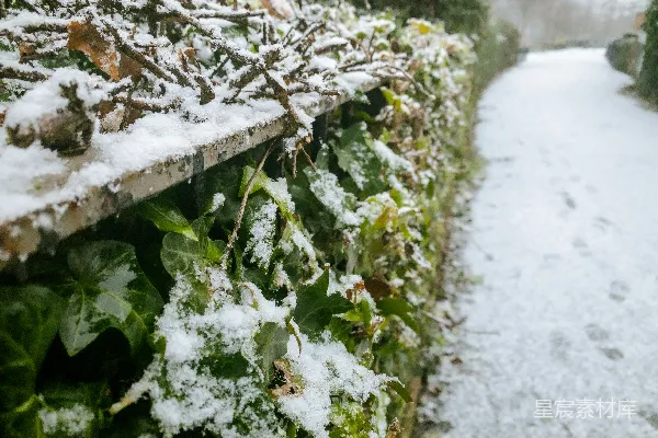 高清摄影 雪后静谧的花园小径