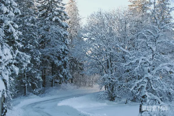 高清摄影 冬日雪景中的蜿蜒小路