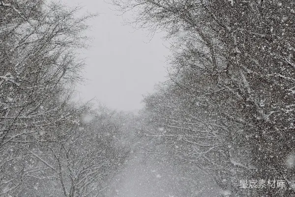 高清摄影 雪中漫步