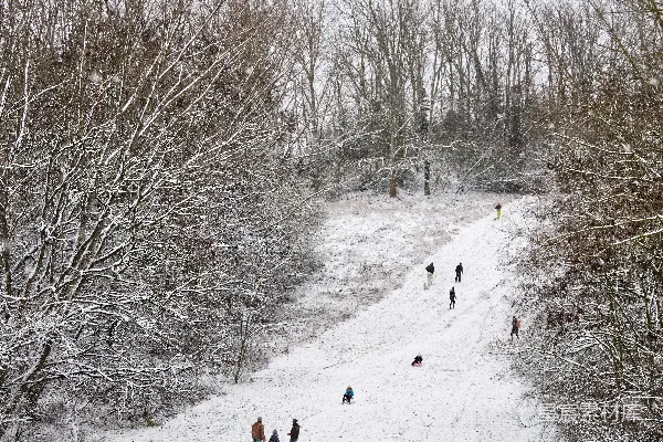 高清摄影 冬日雪地滑行