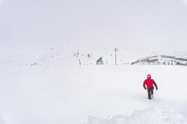 高清摄影 雪地中的红色身影