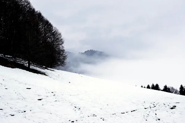 高清摄影 雪地迷雾