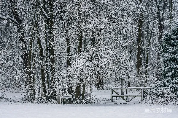 高清摄影 冬日雪景中的木桥