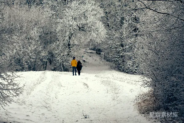 高清摄影 雪地里的冬日漫步