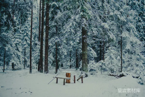 高清摄影 冬日雪景中的宁静木桌