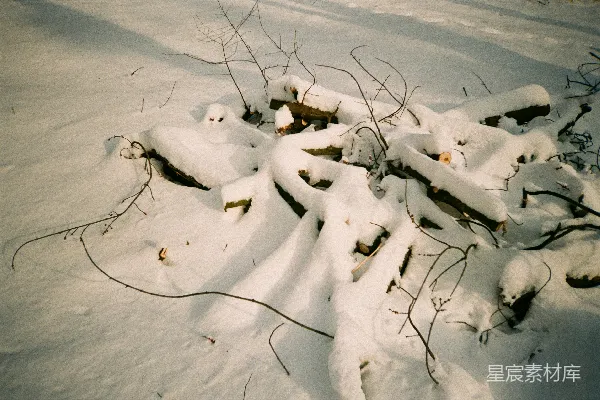 高清摄影 雪地里的自然纹理