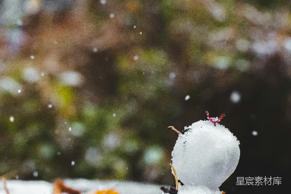高清摄影 冬日里的雪人