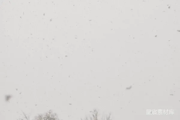 高清摄影 冬日飘雪