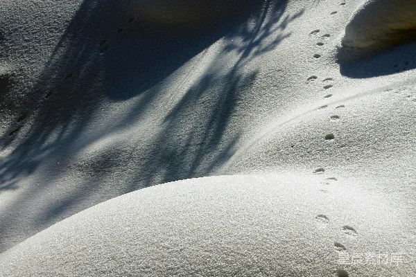 高清摄影 雪地中的足迹