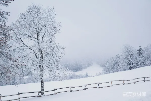 高清摄影 冬日雪景