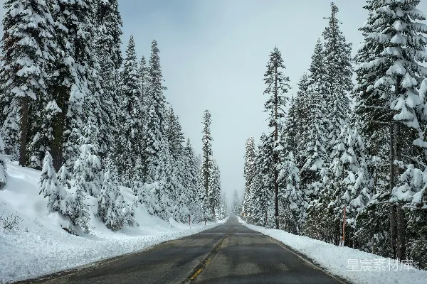 高清摄影 冬日雪景中的森林公路