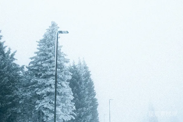 高清摄影 冬日雪景中的路灯与松树
